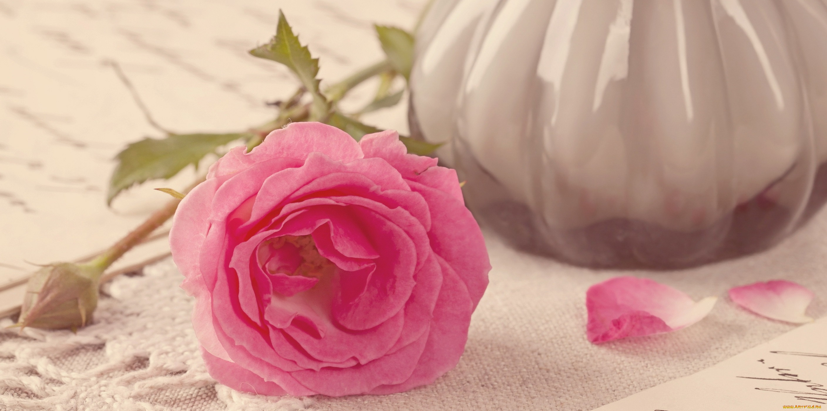 , , vintage, , bouquet, flower, pink, roses, style